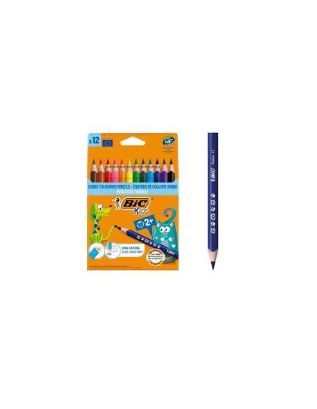 Lápices De Colores Caja 12 Bic Evolution Triangulares